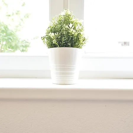 شقة Huge In Awesome Location With Parking