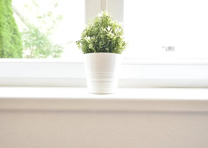 Apartament Huge In Awesome Location With Parking